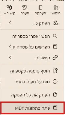 צילום מסך 4