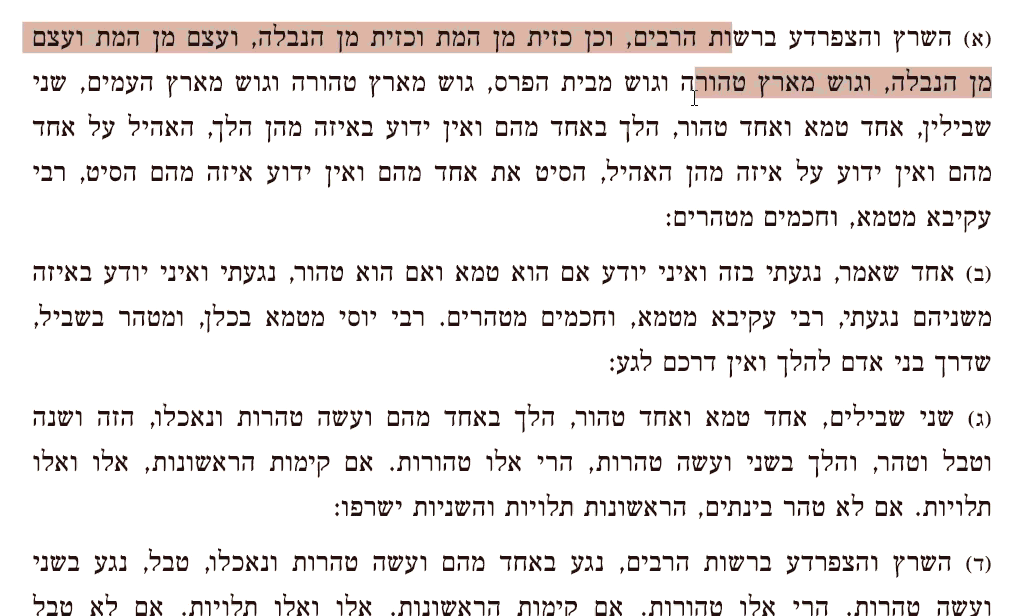 de7708c7-de38-4426-b313-46ff3bf4ddbb-הקלטה 2026-01-08 001053.gif