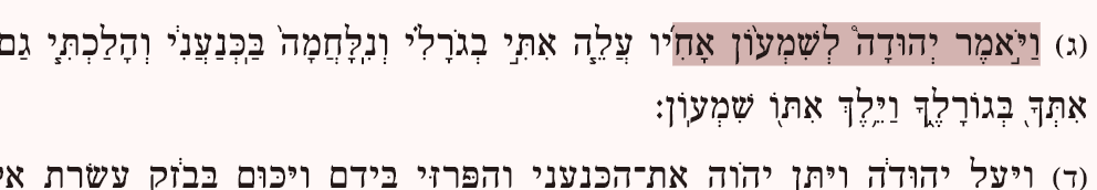 צילום מסך 2026-02-12 235650.png