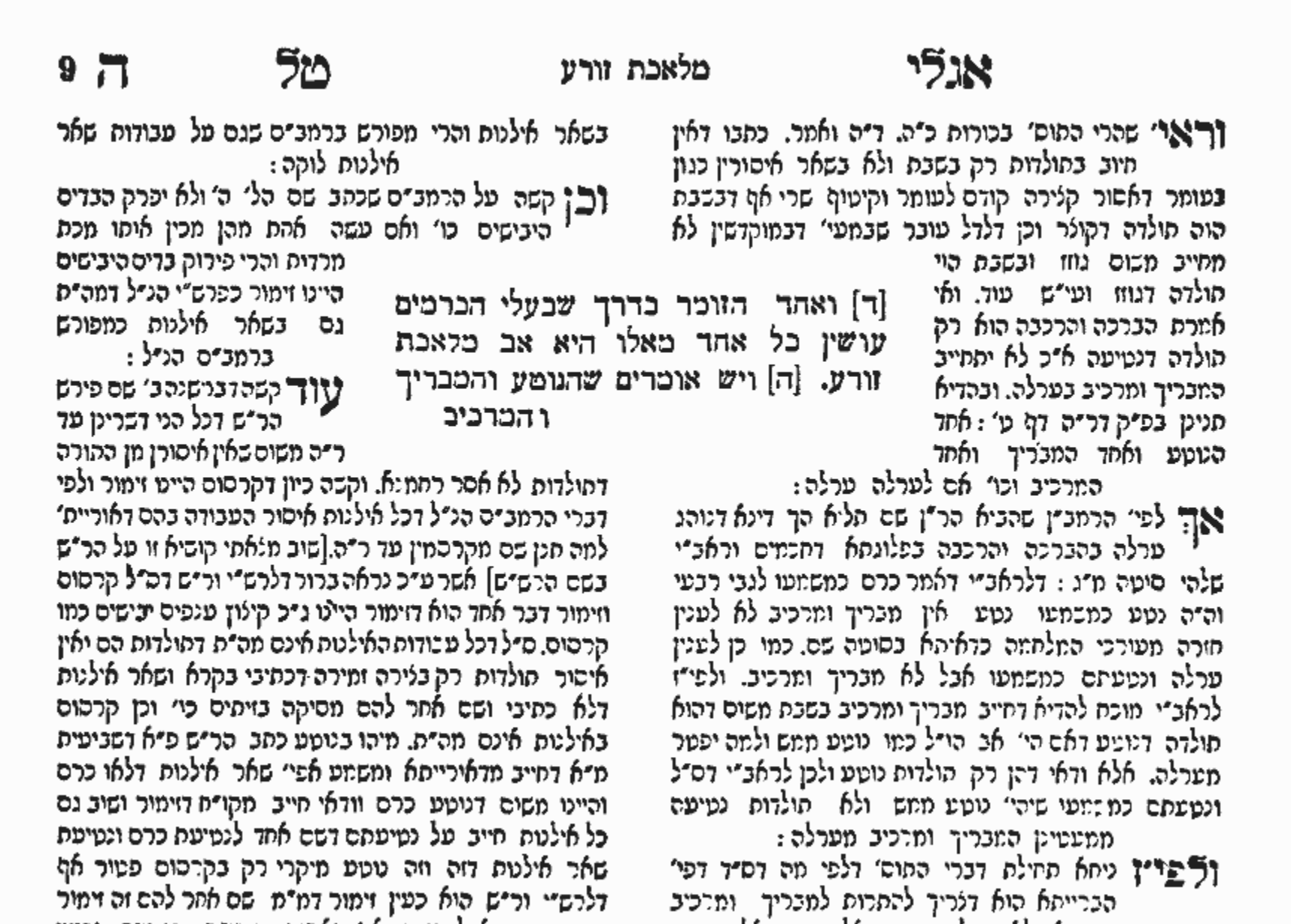 צילום מסך 2026-02-24 ב-10.03.09.png