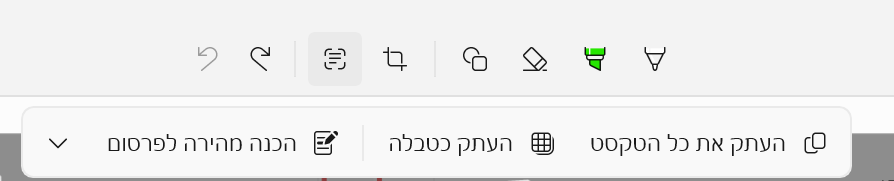 37d79587-310f-4649-abf7-1ed6ca1a4d3a-צילום מסך 2026-03-06 111453.png